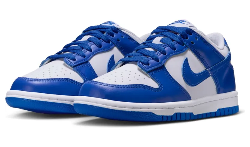 nike-dunk FB9109-131