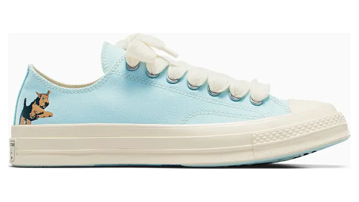 Converse Converse x GOLF le FLEUR* Darryl Chuck 70 (A12146C)
