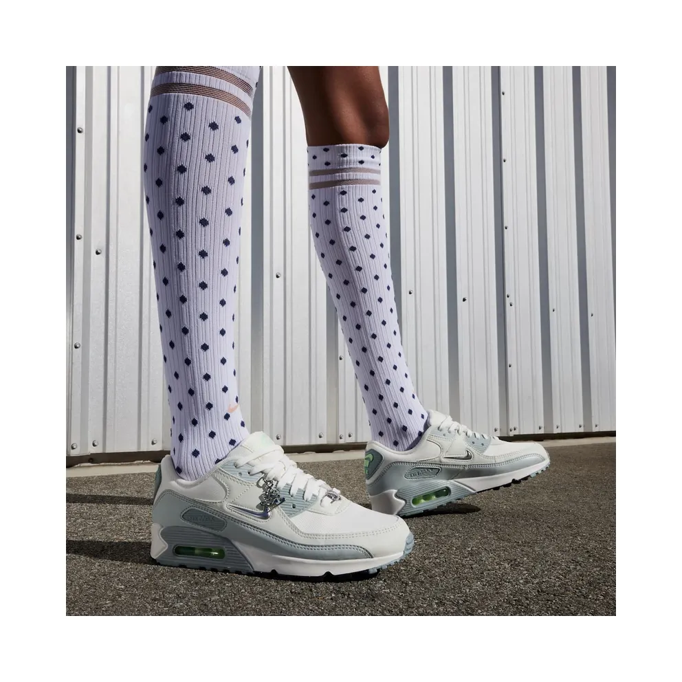 Nike Air Max 90 “Silver” (FN6948-100)