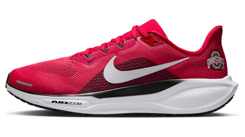 Nike Air Zoom Pegasus 41 “Ohio State” (IB3254-600)