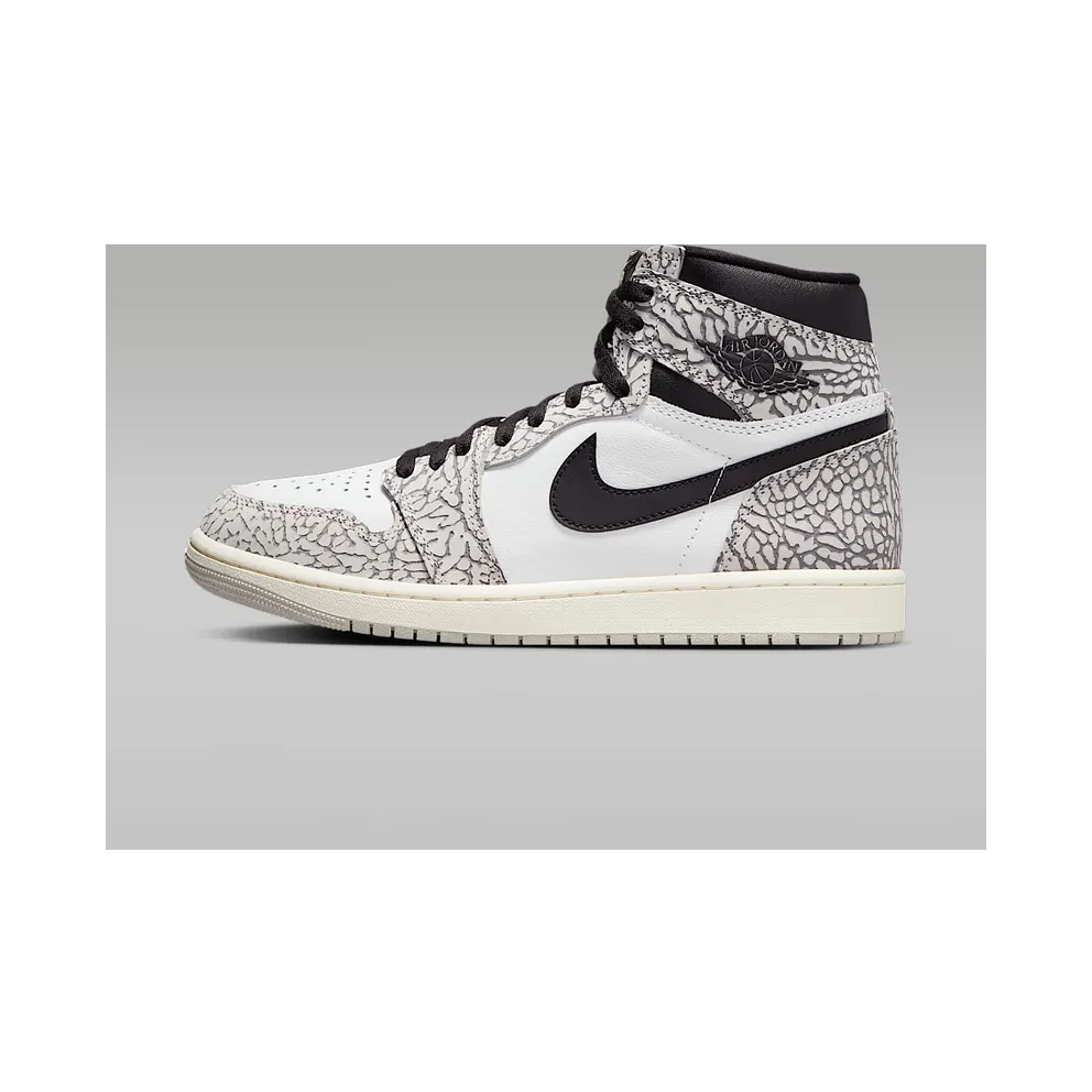 Nike Air Jordan 1 Retro High OG White Cement (DZ5485-052)