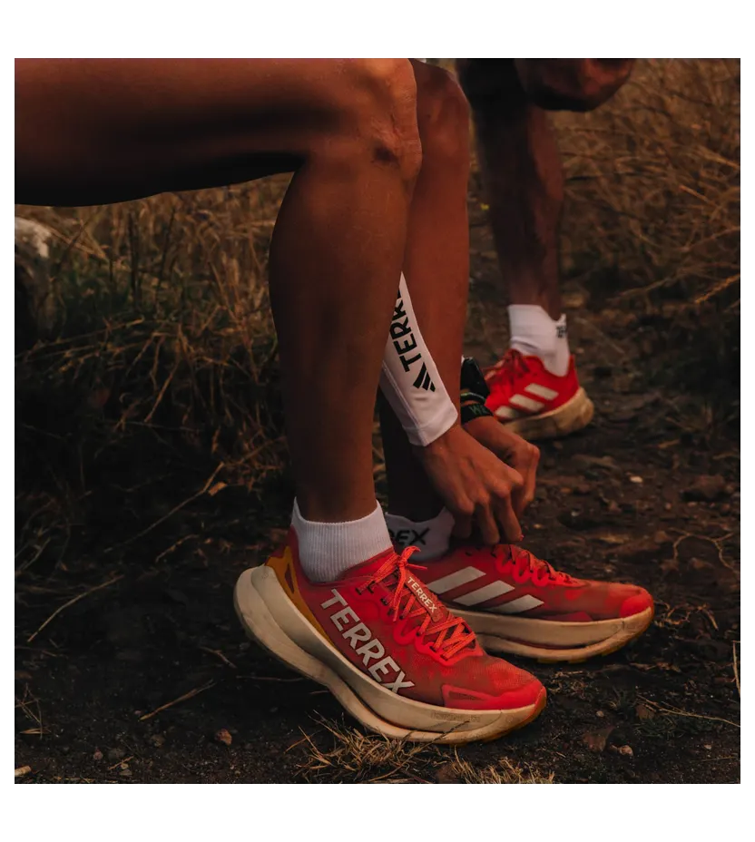 adidas-terrex IF6597