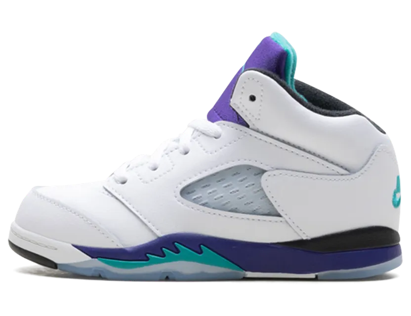 Jordan 5 Retro TD “Grape (2025)” (HQ7981-100)