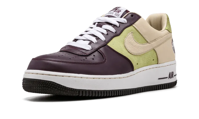 Nike Air Force 1 Premium ’07 “Bobbito Garcia” (316892-521)