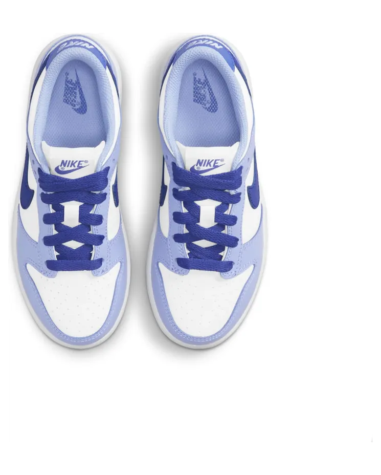 nike-dunk DZ4457-100