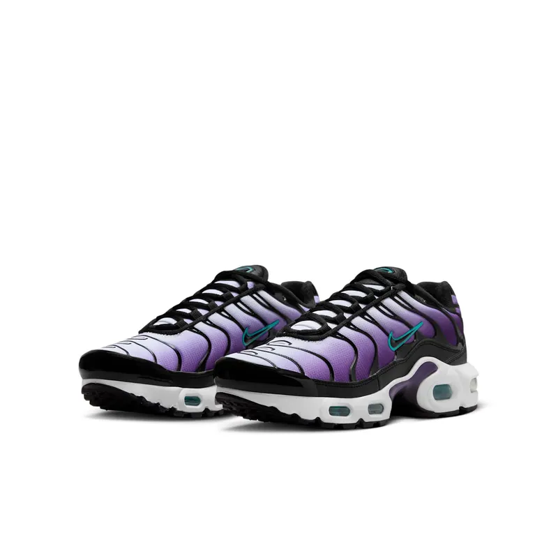 Nike Air Max Plus Reverse Grape (FQ2412-500)
