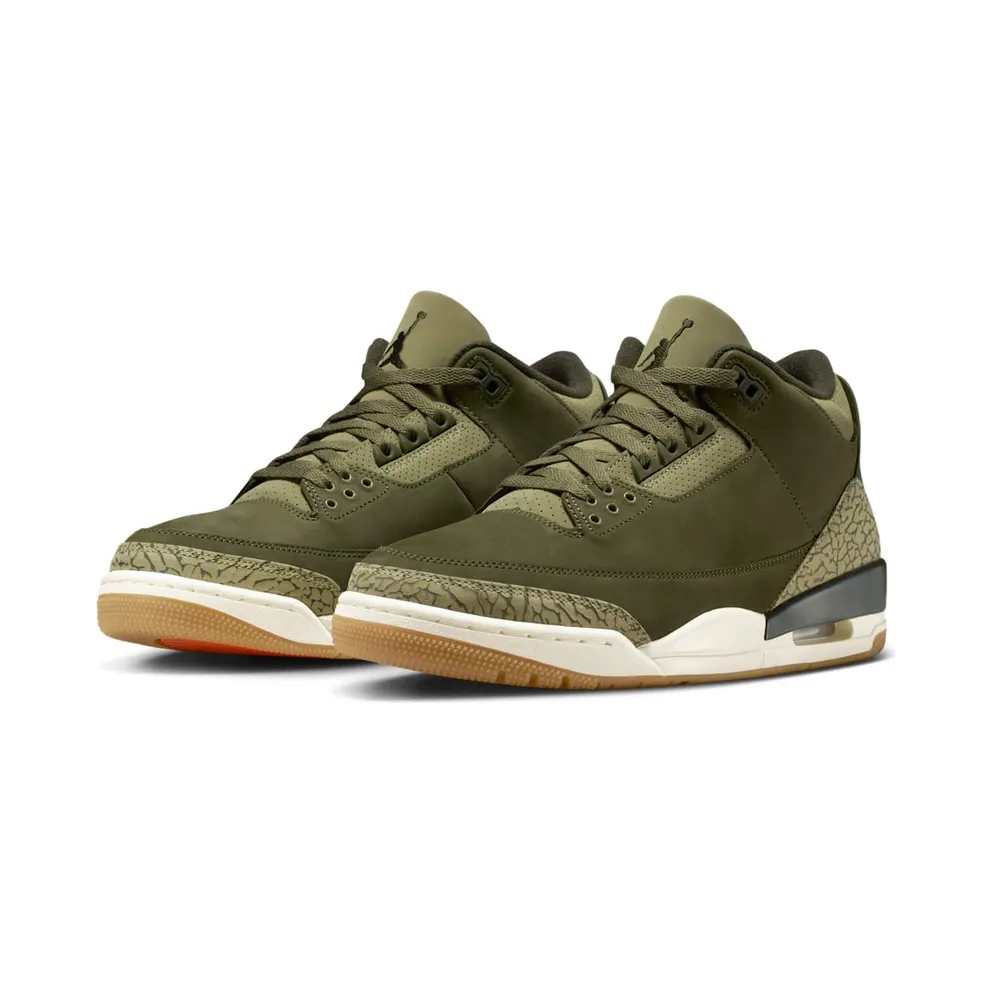 Air Jordan 3 “Family Affair” (DN3707-202)