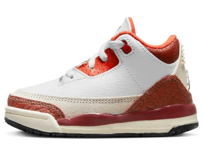 Air Jordan 3 DV7026-108