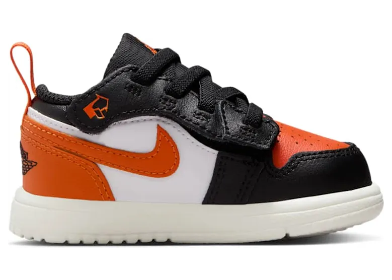 air-jordan-1 DR9747-081