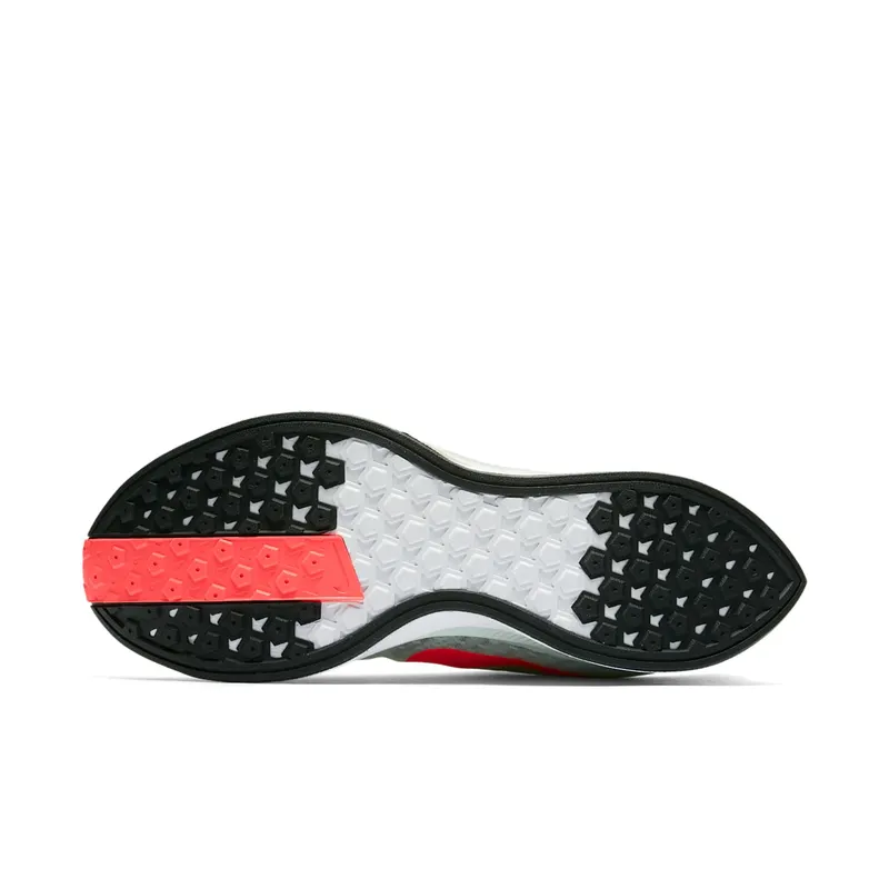 Nike Zoom Pegasus Turbo (2018) (AJ4114-060)
