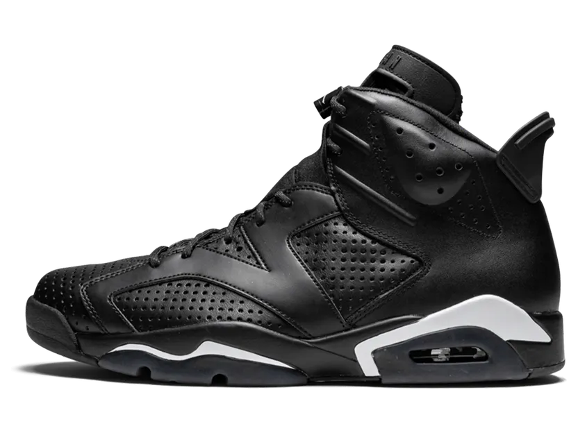Air Jordan 6 Retro Black cat (384664-020)