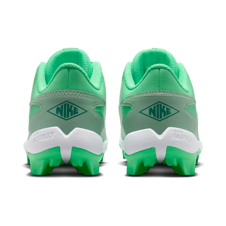 nike-team IQ1048-300