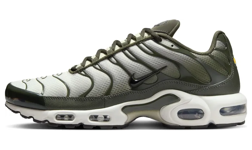 Nike Air Max Plus DM0032-300