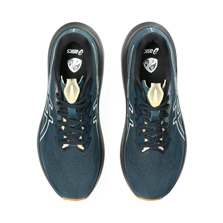 asics-gt-2000-2 1011C129-300