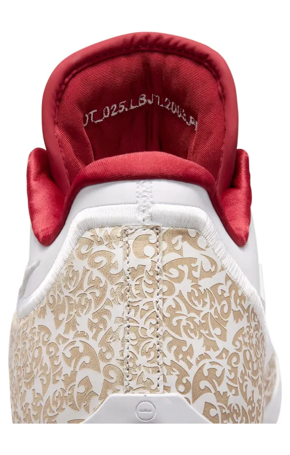 nike-lebron IM5125-100
