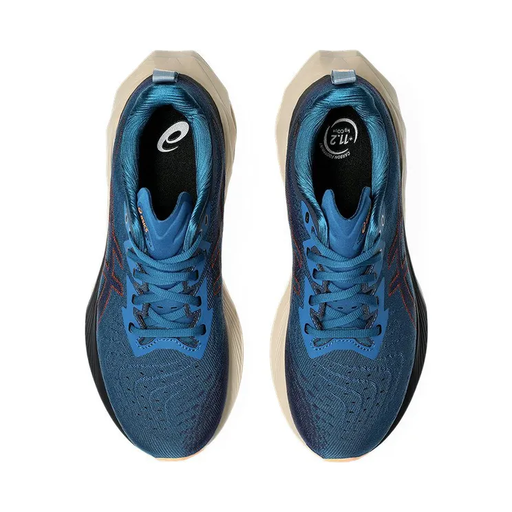 asics-novablast 1011B693-404