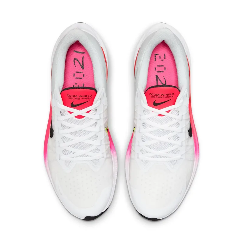 Nike Winflo 8 Rawdacious (CW3419-100)