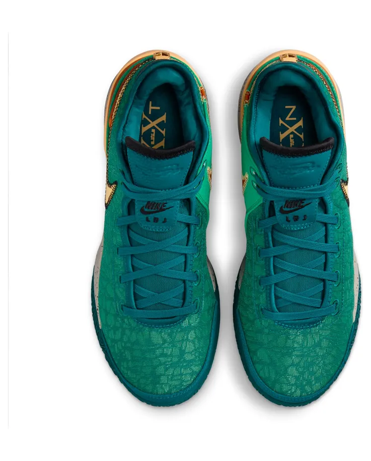 nike-lebron DR8784-301