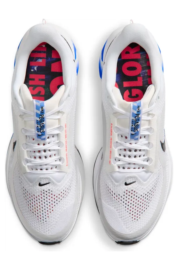 nike-air-pegasus II5262-100