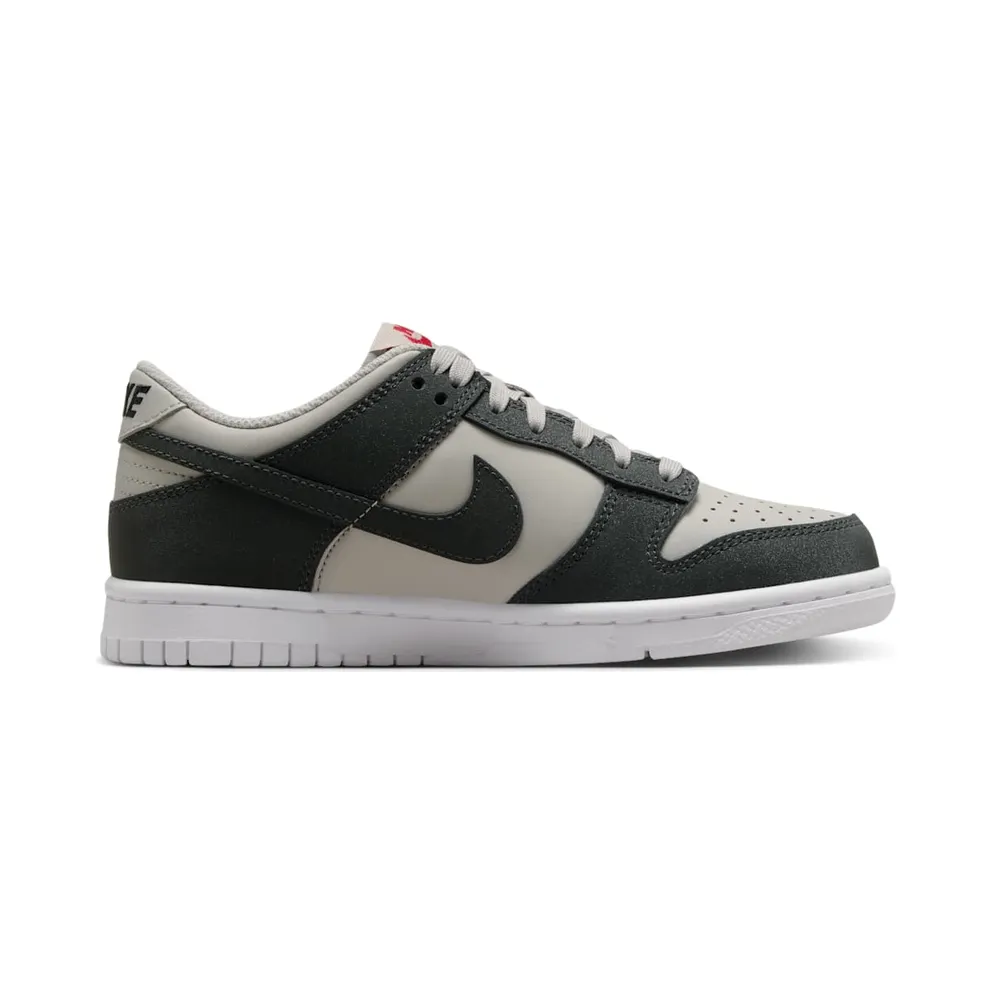 Nike Dunk Low GS “Anthracite” (FZ1000-001)
