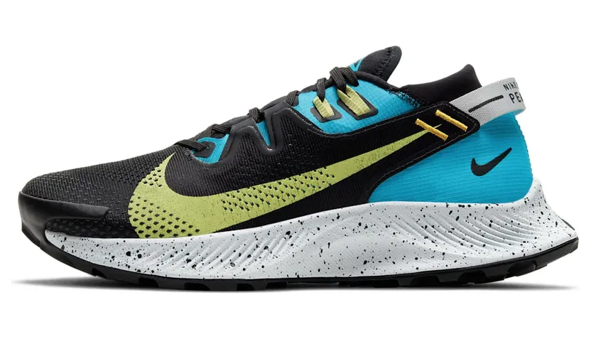 Nike Pegasus Trail 2 Trailrunningschoen for Women Black (CK4309-003)
