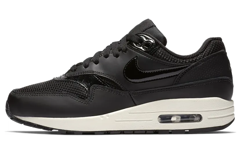 Nike Air Max 1 Stealth (W) “Black / Summit White” (319986-039)