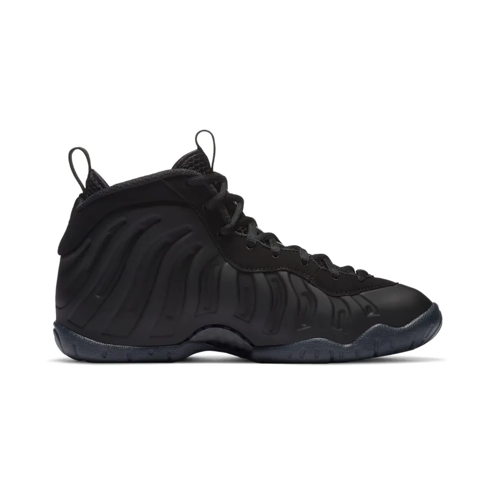 Nike Air Foamposite One Anthracite 2020 (GS) Black/Anthracite-Black (644791-014)