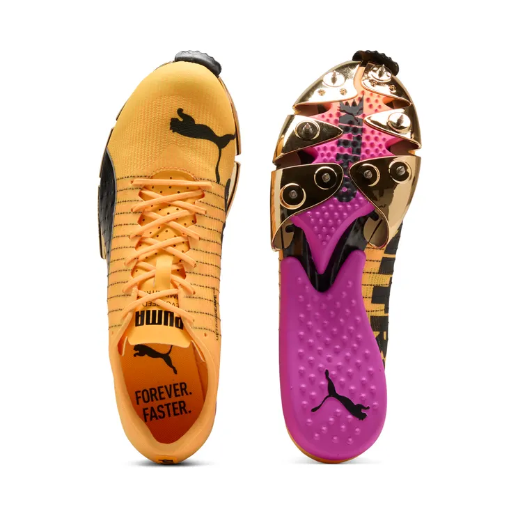 puma-evospeed 311865_02