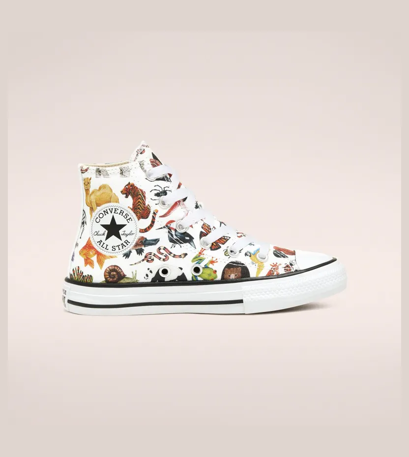 Converse Big Kids Science Class Chuck Taylor All Star High Top White/black/white (668461C)
