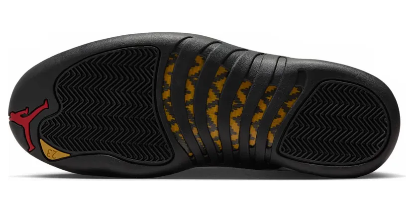 air-jordan-12 CT8013-117