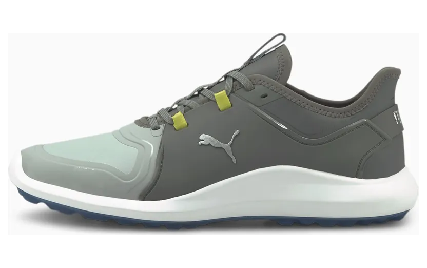 Puma IGNITE FASTEN8 Pro Herren Golfschuhe Grau/Silber (194466-05)