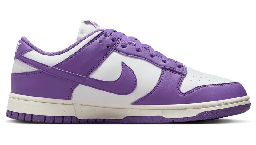 nike-dunk DD1873-108
