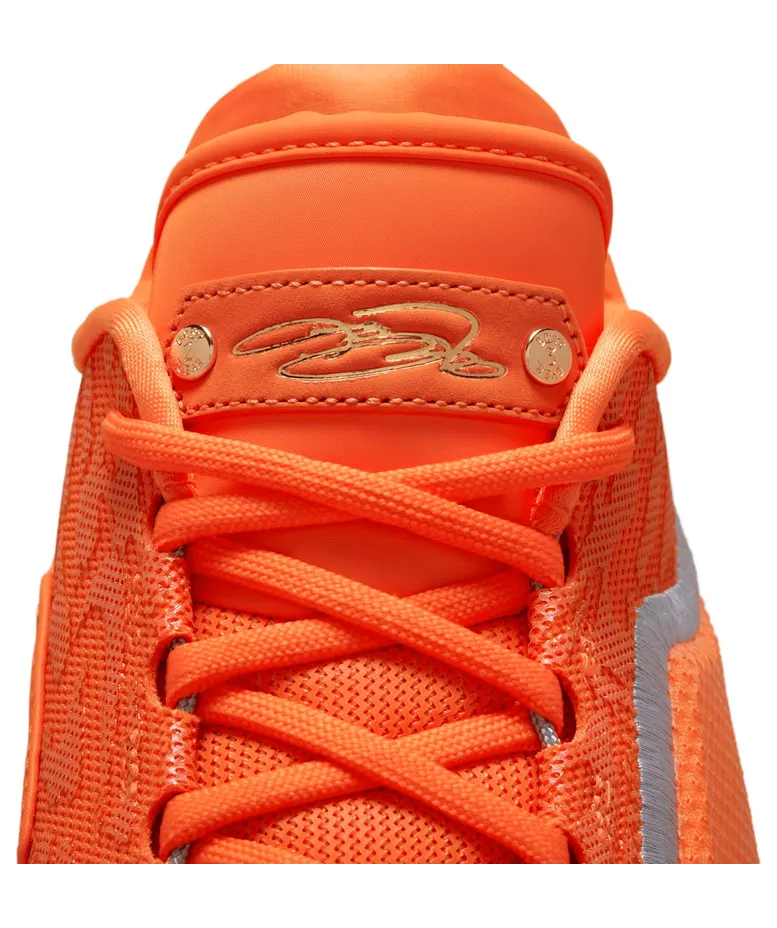 nike-lebron IV5647-800