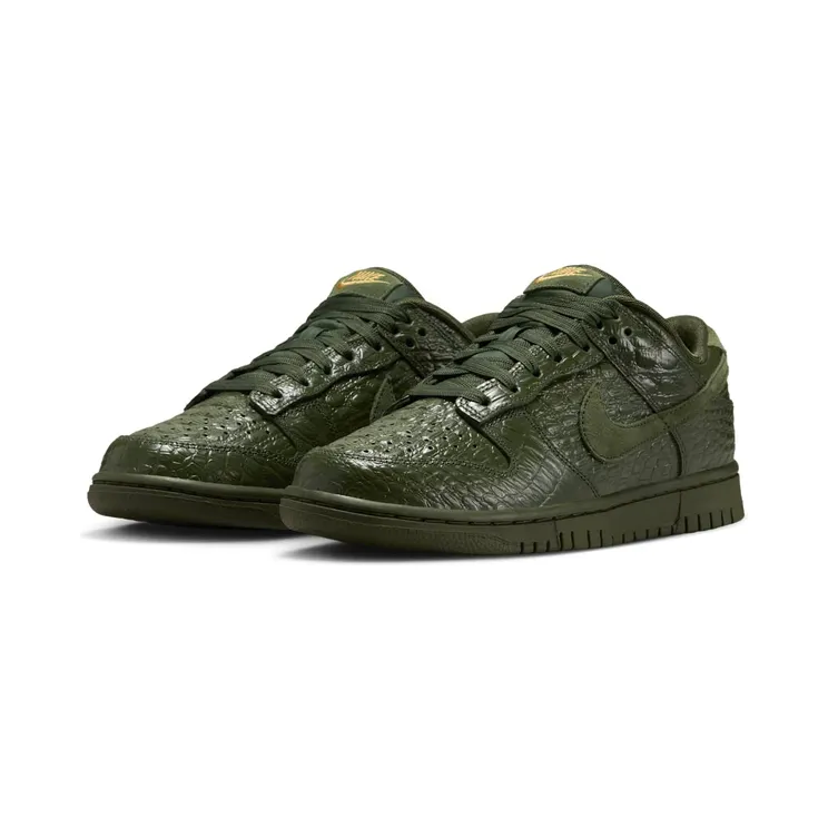 nike-dunk HV4388-300