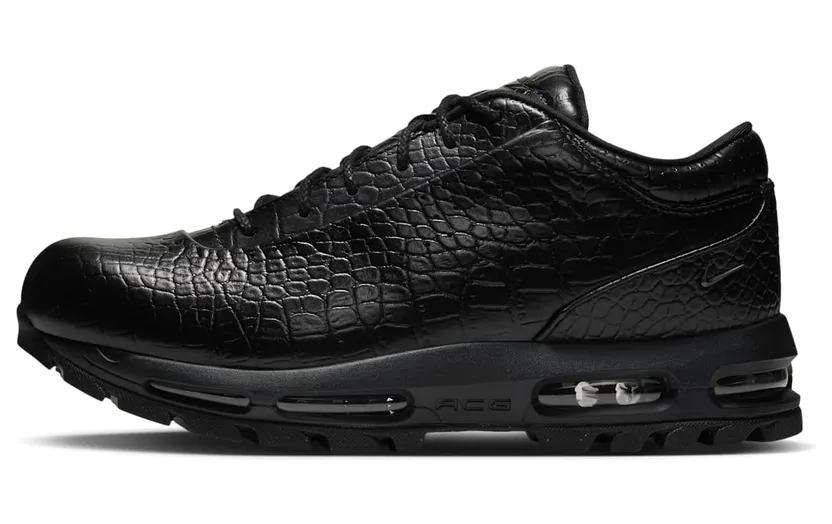 Nike Air Max Goadome Low (IV4517-001)