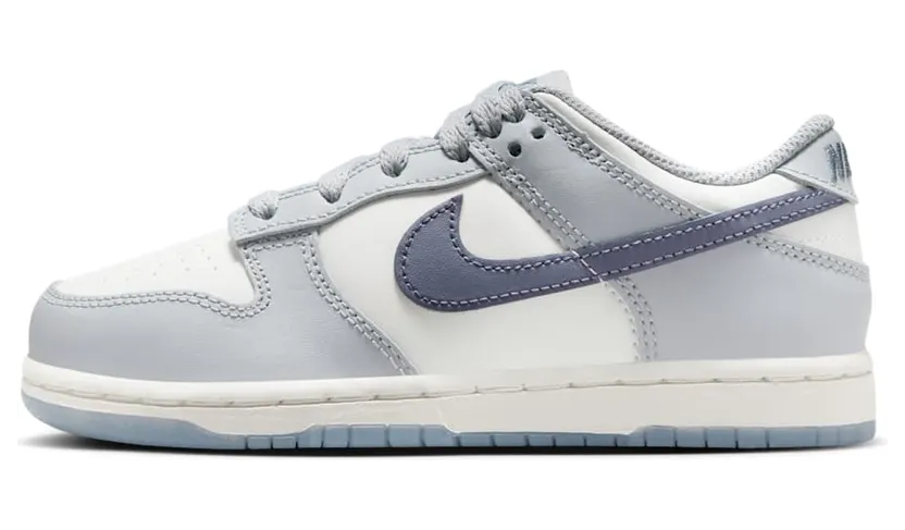 Nike Dunk Low FB9108-101