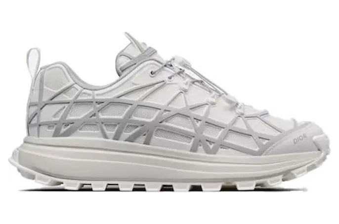 Dior B31 Runner White Grey (3SN297ZUV_H060)