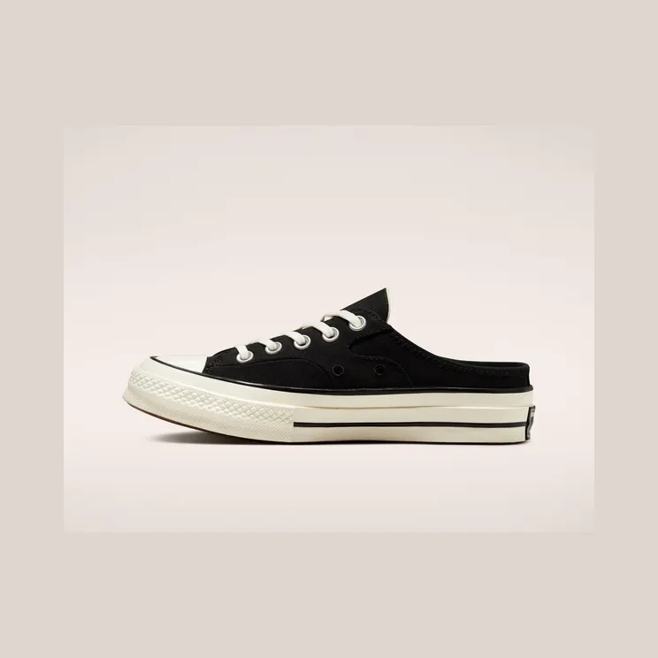 converse-chuck-taylor-all-star 172591C