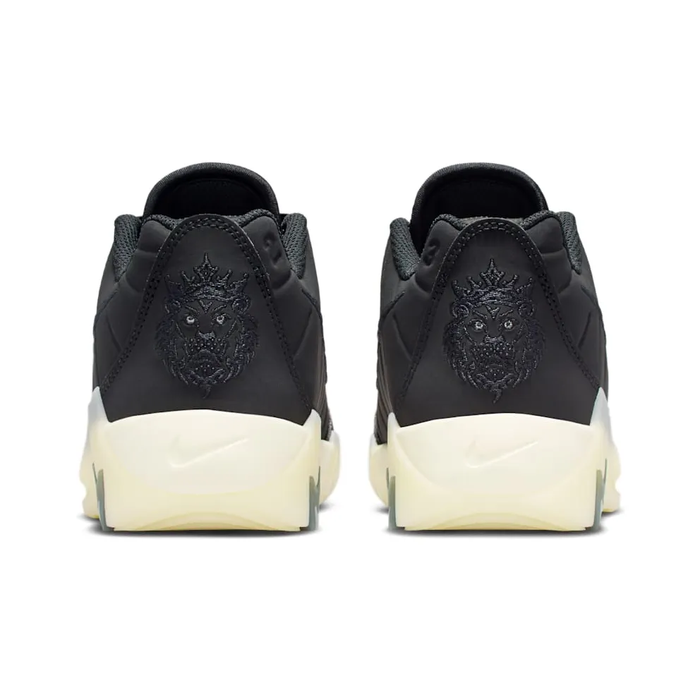 Nike LeBron Witness 9 Black Coconut Milk Iron Grey (HV2270-001)