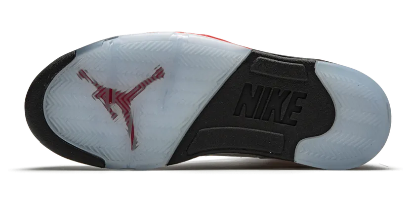 air-jordan-5 DA1911-102
