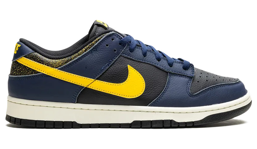 nike-dunk FZ4014-010