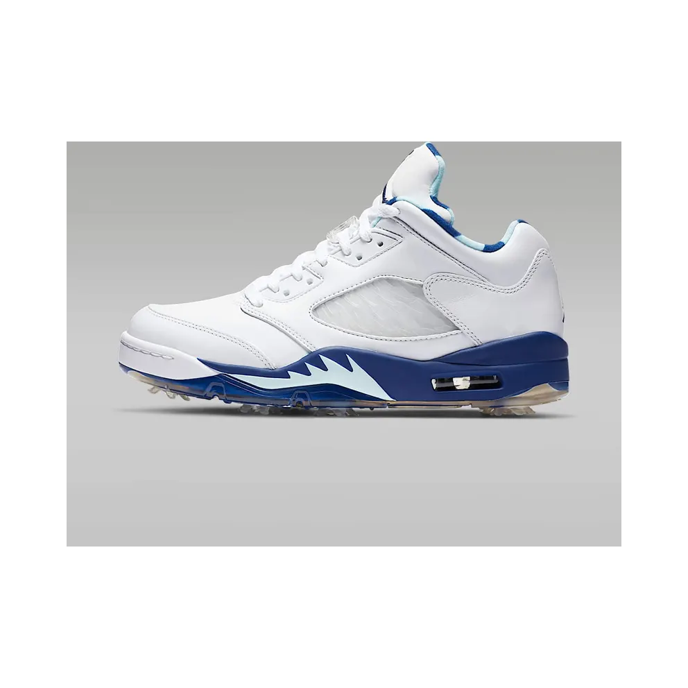 Air Jordan 5 Retro Low Golf Grape Ice (2020) (CW4206-100)
