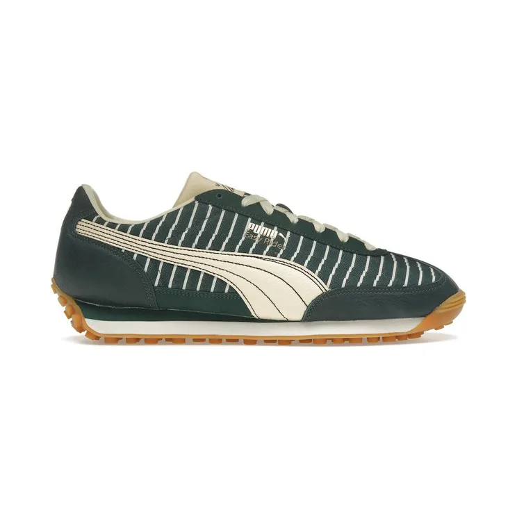 puma-easy-rider 399663-01
