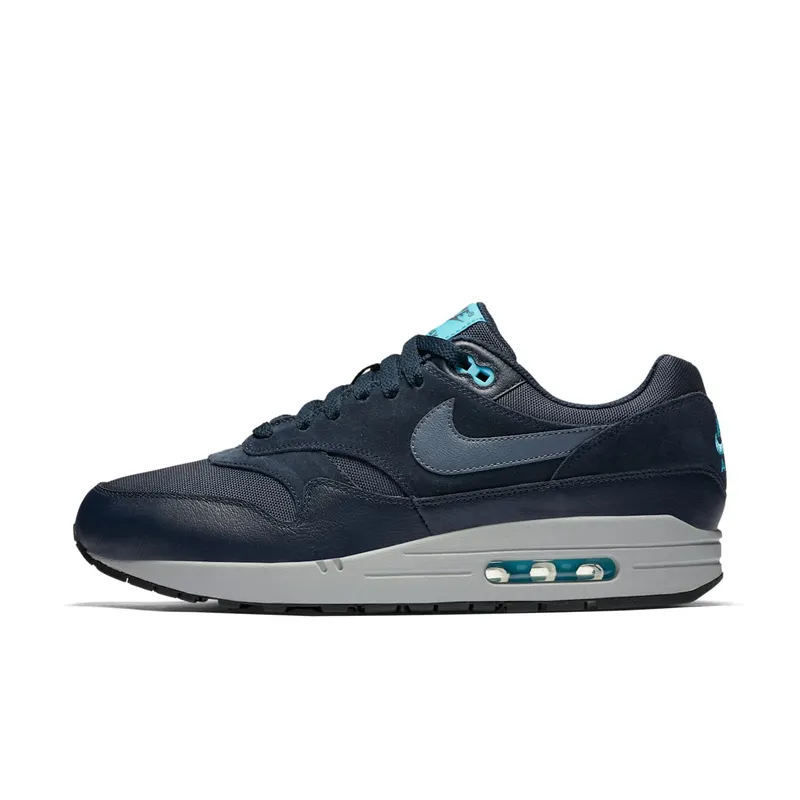 Nike Air Max 1 Obsidian (875844-401)