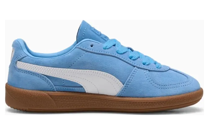 Puma Palermo Blauw (397271-28)