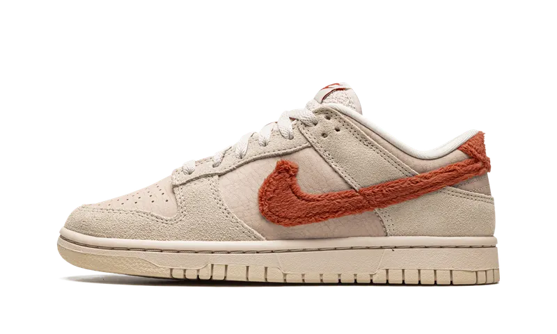 Nike DUNK LO MNS “Terry Swoosh” (DZ4706-200)