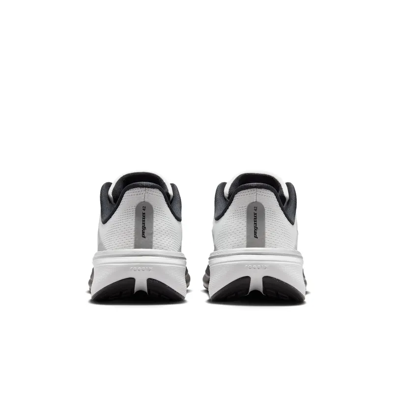 Nike Pegasus Summit White/Metallic Silver/Photon Dust/White (IR4146-100)