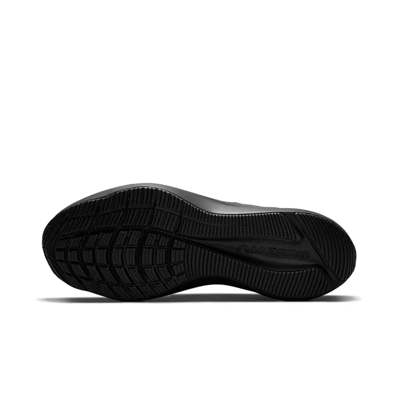 Nike Winflo 8 Road Running Black (CW3419-002)