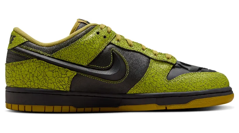nike-dunk HV6103-300