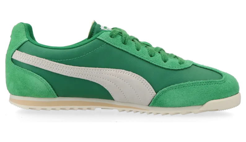 puma-arizona 398682_03